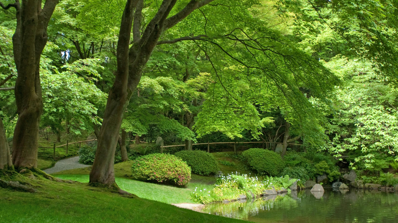 Reduce Stress with Visualization – How Guided Imagery Calms Your Mind